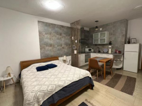 Apartman Olivia